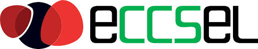 Logo PROGETTO UE ECCSEL PP2