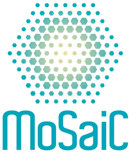 Logo PROGETTO UE MoSaiC