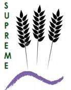 Logo PROGETTO UE SUPREME