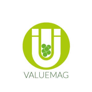 Logo PROGETTO UE VALUEMAG