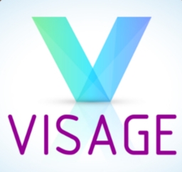 Logo PROGETTO UE VISAGE