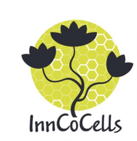 Logo PROGETTO UE InnCoCells